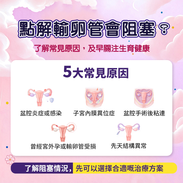 输卵管堵塞.jpg